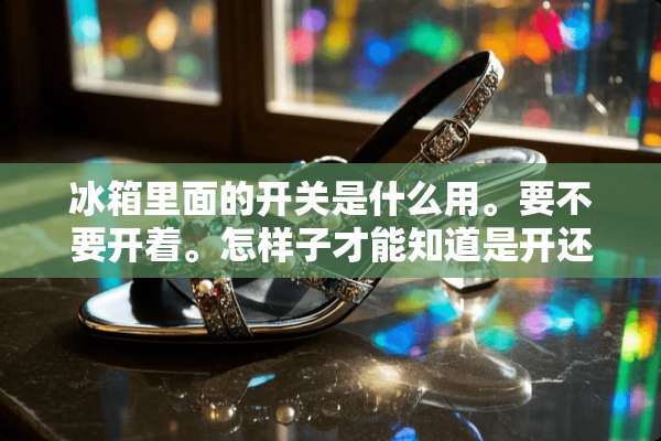 冰箱里面的开关是什么用。要不要开着。怎样子才能知道是开还是关？