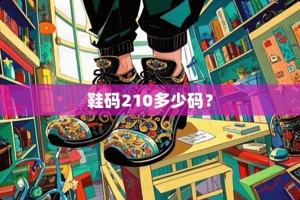 鞋码210多少码？