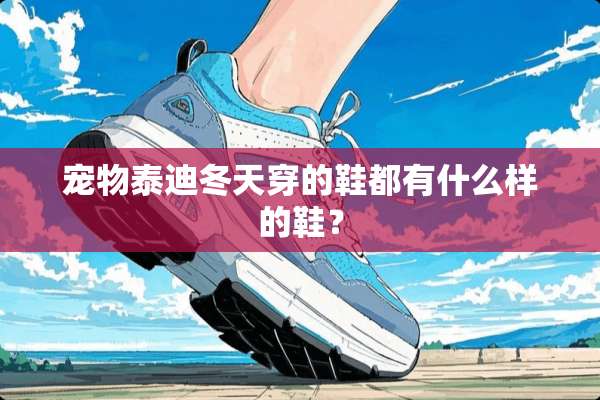 宠物泰迪冬天穿的鞋都有什么样的鞋？