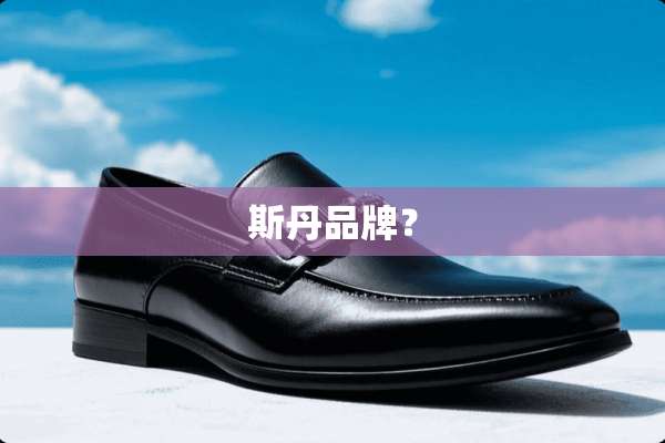 斯丹品牌？