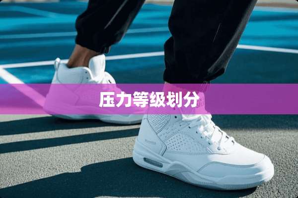 压力等级划分