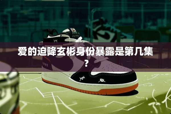 爱的迫降玄彬身份暴露是第几集？