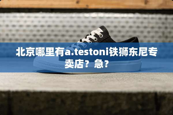 北京哪里有a.testoni铁狮东尼专卖店？急？