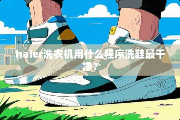haier洗衣机用什么程序洗鞋最干净？