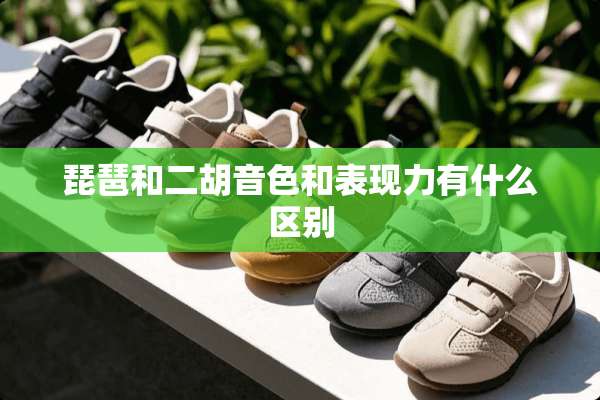 琵琶和二胡音色和表现力有什么区别