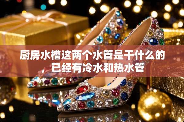 厨房水槽这两个水管是干什么的，已经有冷水和热水管