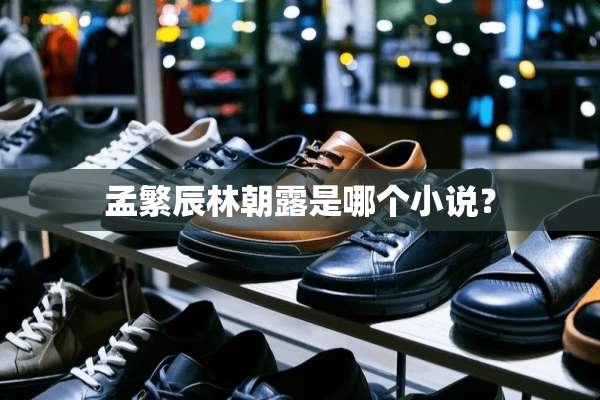 孟繁辰林朝露是哪个小说？