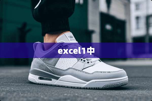 excel1中