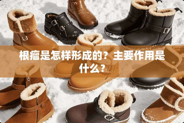 根瘤是怎样形成的？主要作用是什么？