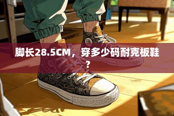 脚长28.5CM，穿多少码耐克板鞋？