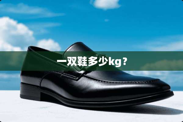一双鞋多少kg？
