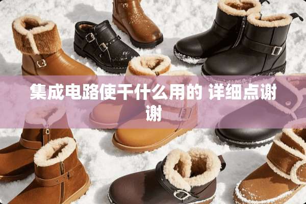 集成电路使干什么用的 详细点谢谢