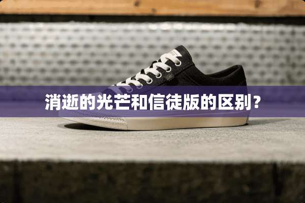 消逝的光芒和信徒版的区别？