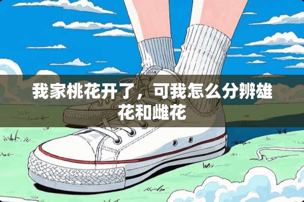 我家桃花开了，可我怎么分辨雄花和雌花