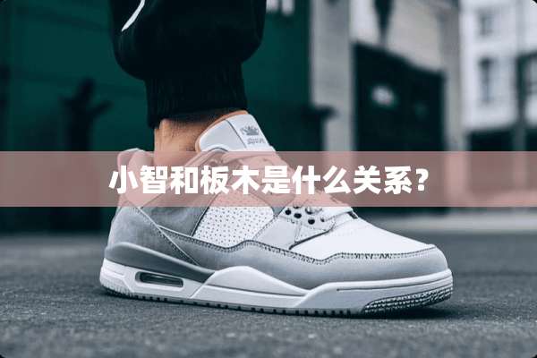 小智和板木是什么关系？