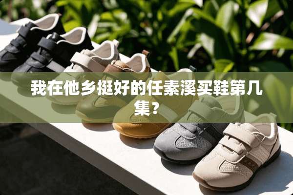 我在他乡挺好的任素溪买鞋第几集？