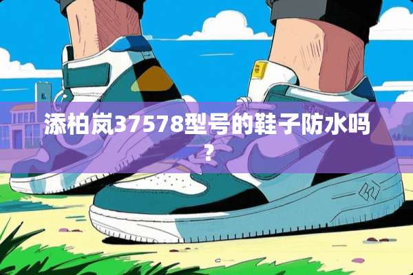 添柏岚37578型号的鞋子防水吗？