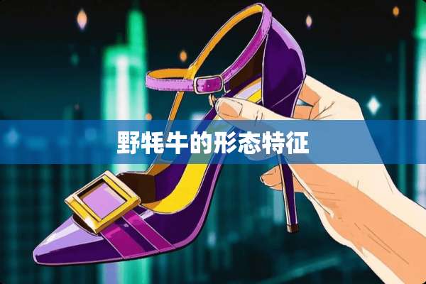 野牦牛的形态特征