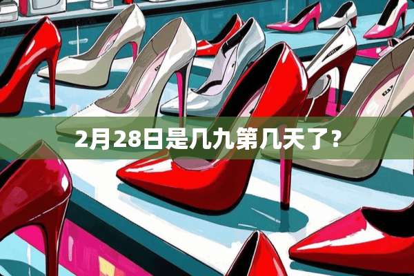 2月28日是几九第几天了？