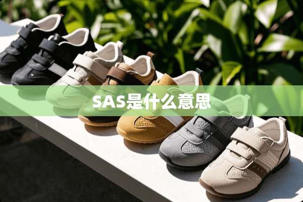 SAS是什么意思