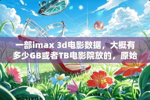 一部imax 3d电影数据，大概有多少GB或者TB电影院放的，原始母盘？