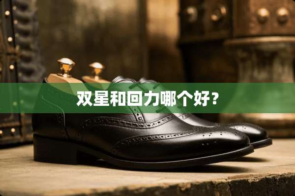 双星和回力哪个好？