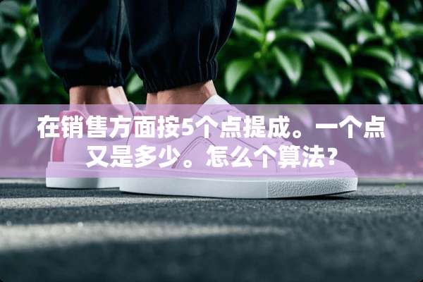 在销售方面按5个点提成。一个点又是多少。怎么个算法？