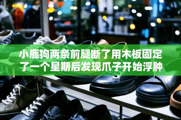 小鹿狗两条前腿断了用木板固定了一个星期后发现爪子开始浮肿？