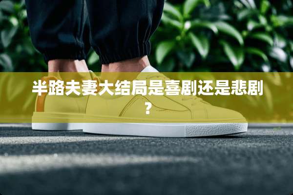 半路夫妻大结局是喜剧还是悲剧？