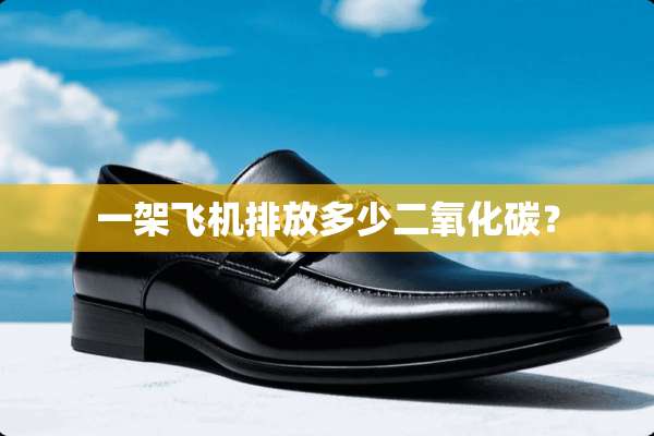一架飞机排放多少二**碳？