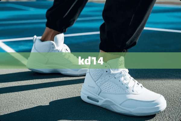 kd14