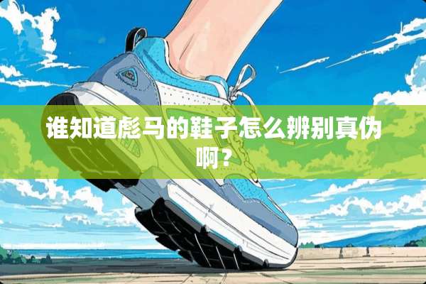 谁知道彪马的鞋子怎么辨别真伪啊？