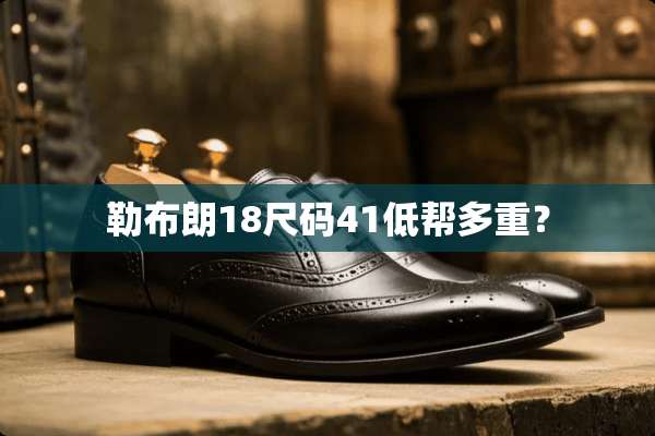 勒布朗18尺码41低帮多重？