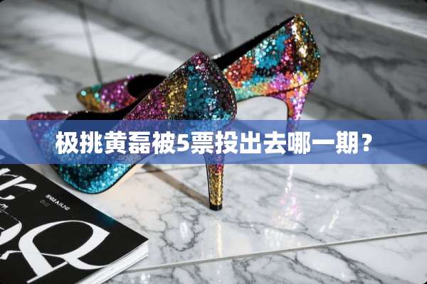 极挑黄磊被5票投出去哪一期？