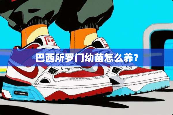 巴西所罗门幼苗怎么养？