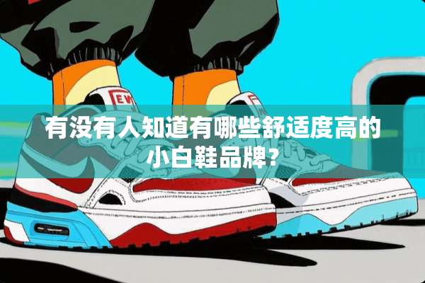 有没有人知道有哪些舒适度高的小白鞋品牌？
