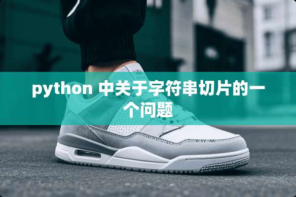 python 中关于字符串切片的一个问题
