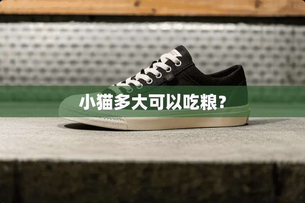 小猫多大可以吃粮？