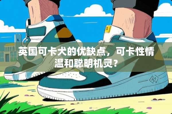 英国可卡犬的优缺点，可卡性情温和聪明机灵？