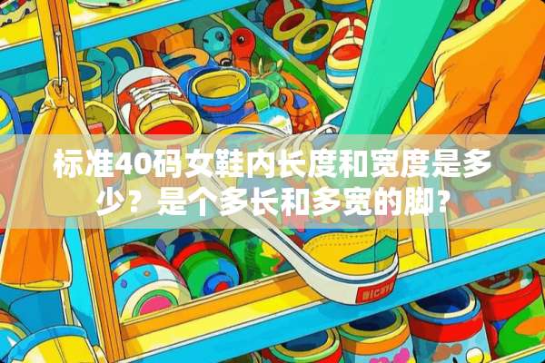 标准40码女鞋内长度和宽度是多少？是个多长和多宽的脚？