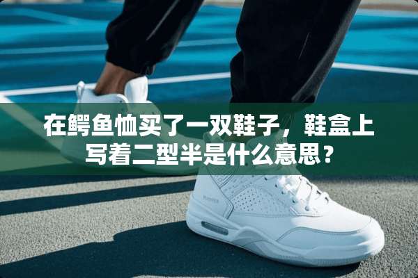 在鳄鱼恤买了一双鞋子，鞋盒上写着二型半是什么意思？
