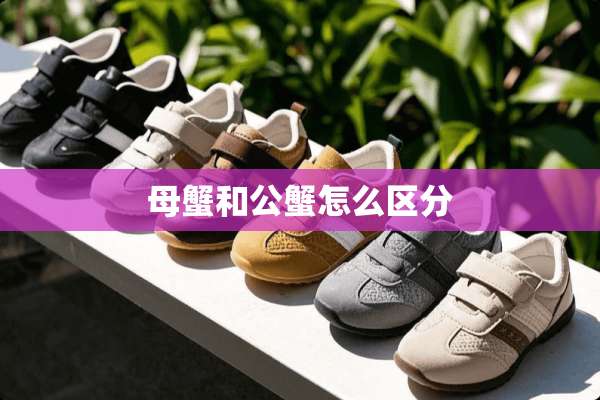 母蟹和公蟹怎么区分
