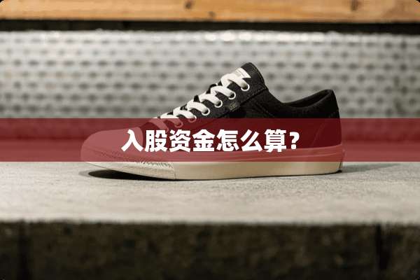 入股资金怎么算？