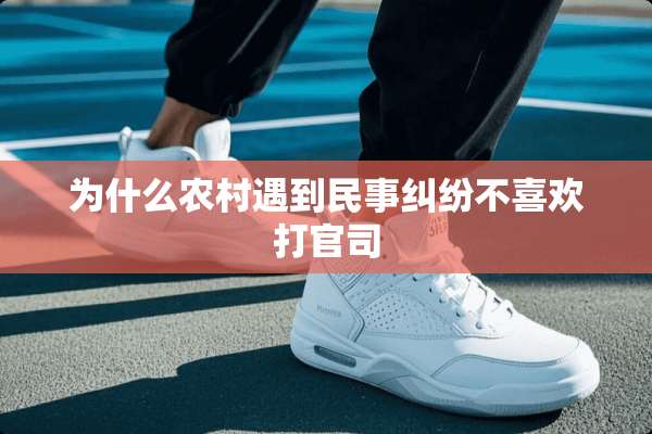 为什么农村遇到民事纠纷不喜欢打官司