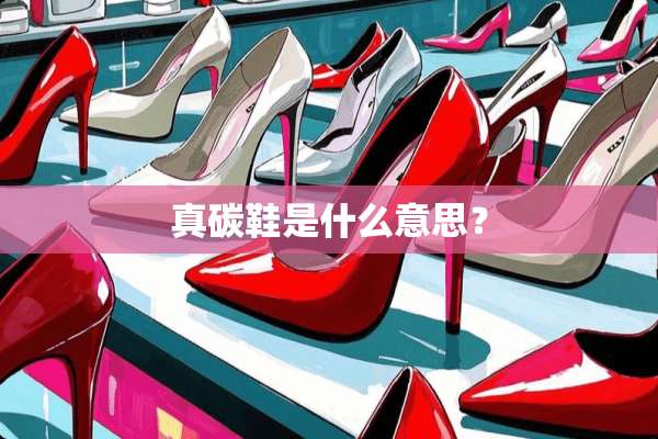真碳鞋是什么意思？