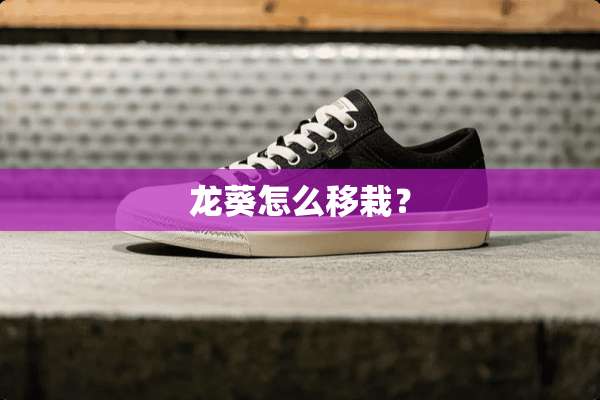 龙葵怎么移栽？