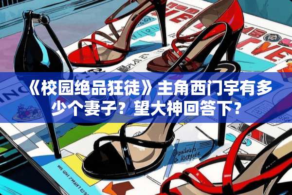 《校园绝品狂徒》主角西门宇有多少个妻子？望大神回答下？