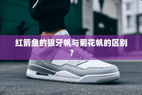 红箭鱼的狼牙帆与菊花帆的区别？