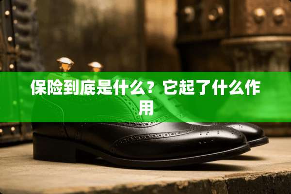 保险到底是什么？它起了什么作用