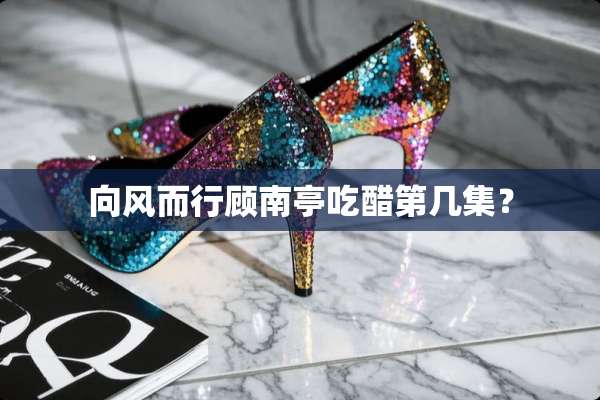 向风而行顾南亭吃醋第几集？